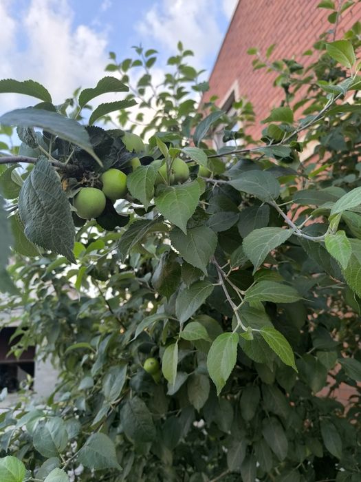 Продам дом в г. Костанай ж..м. Дружба