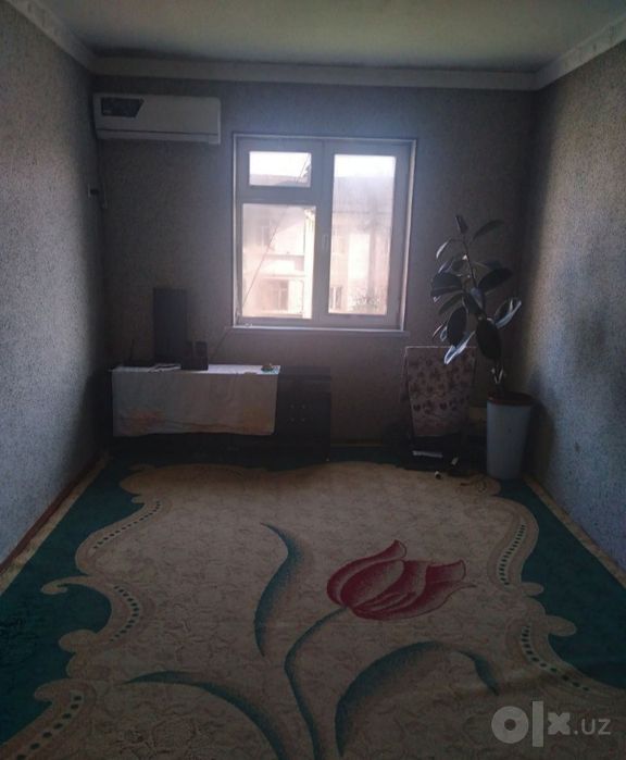 Ijaraga talaba qizlarni qoyamiz