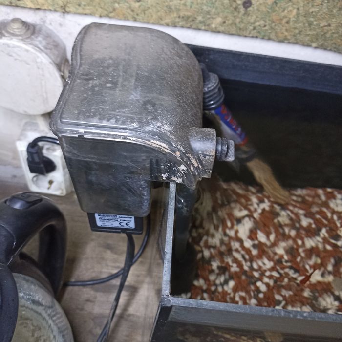 Аквариум с меченосцами