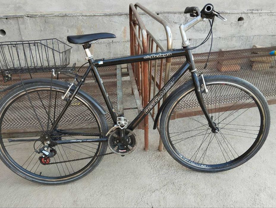 Bergamont va Bulls veliklari