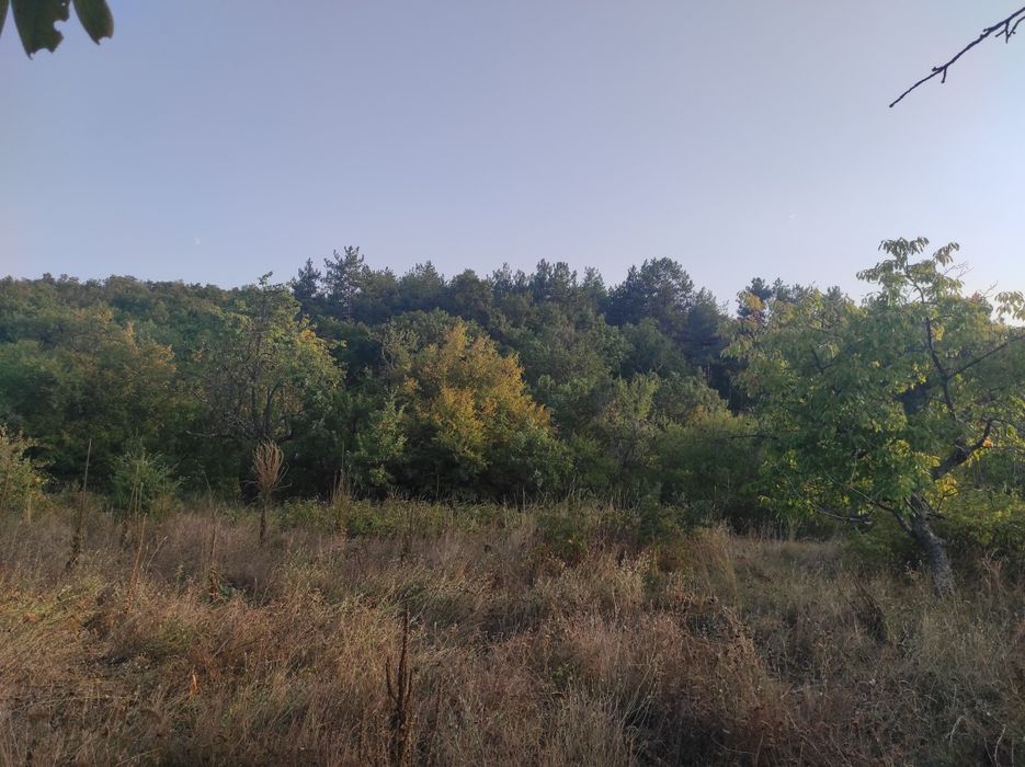 Продава се Парцел в с. Сърнегор, Област Пловдив - 433 кв.м за 18 €/кв.м - Снимка #9