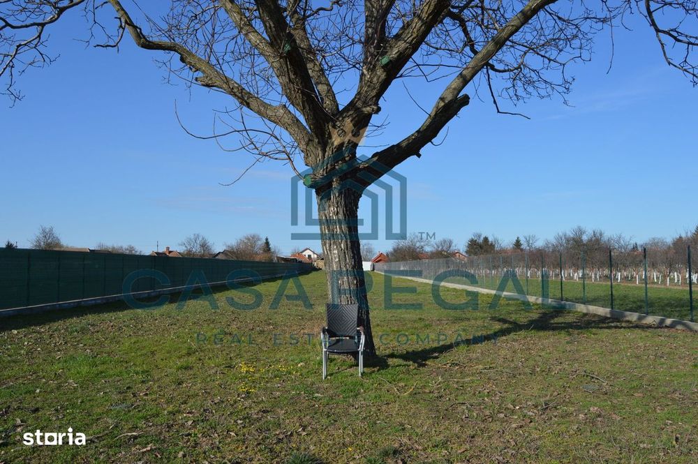 Teren 3500 mp împrejmuit, central, Biharia, lângă Profi, utilități