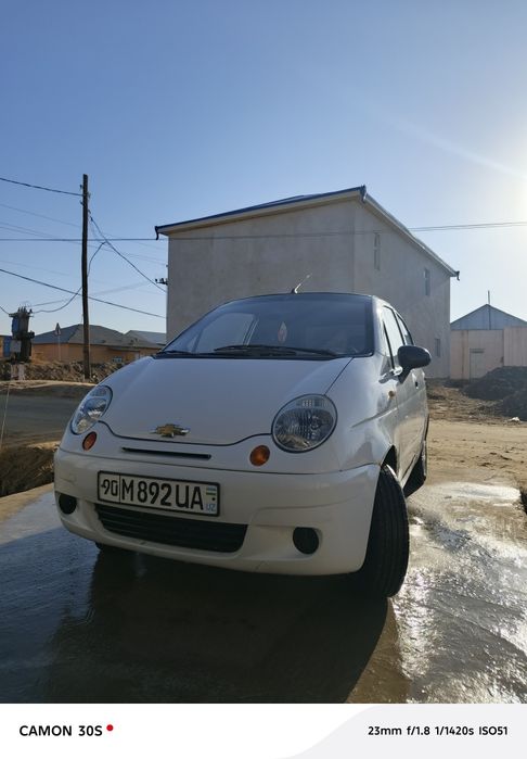 Matiz oq rang kafoli bilan