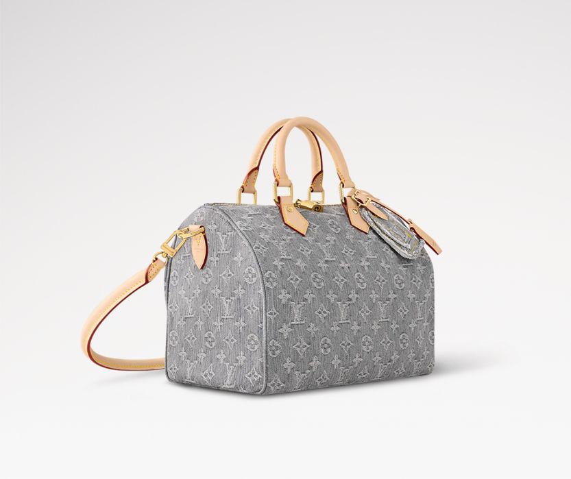 Сумка LV Louis Vuitton Speedy Soft 30