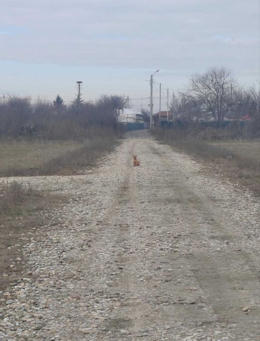 Teren de vânzare intravilan
