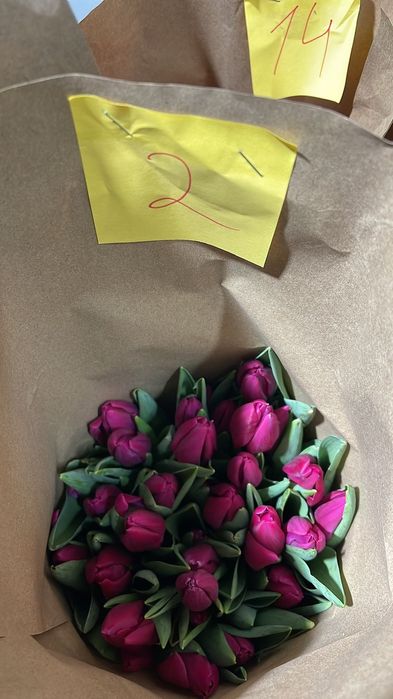 Тюльпаны на 8 марта