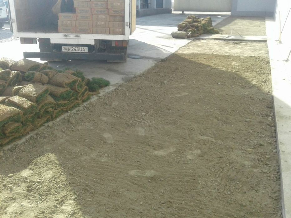 Rulonli gazonlarimiz bor urnatib beramiz,