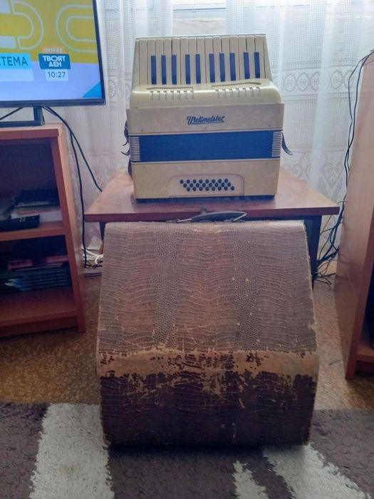 Акордеон-професионален