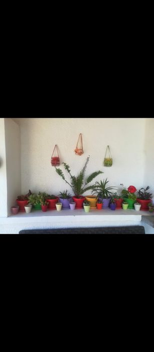 Продава се Къща в Сунгурларе - 80 кв.м за 813 €/кв.м - Снимка #2