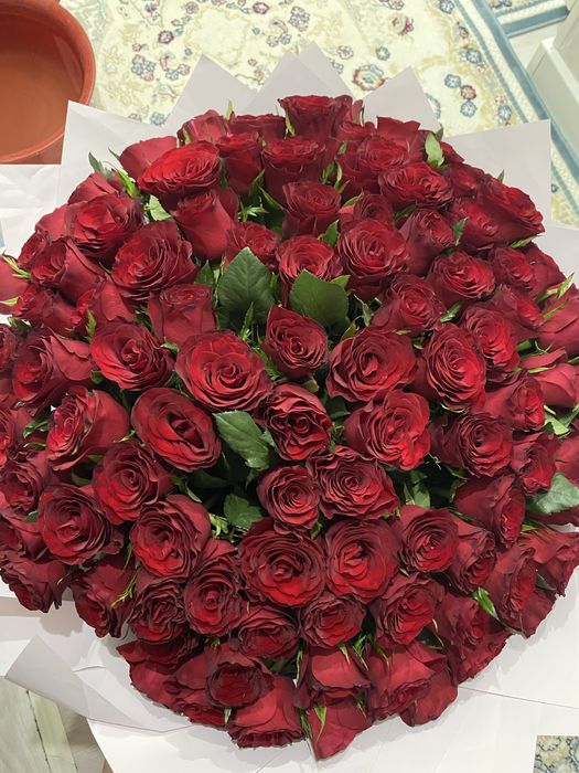 красная розы,101 штук