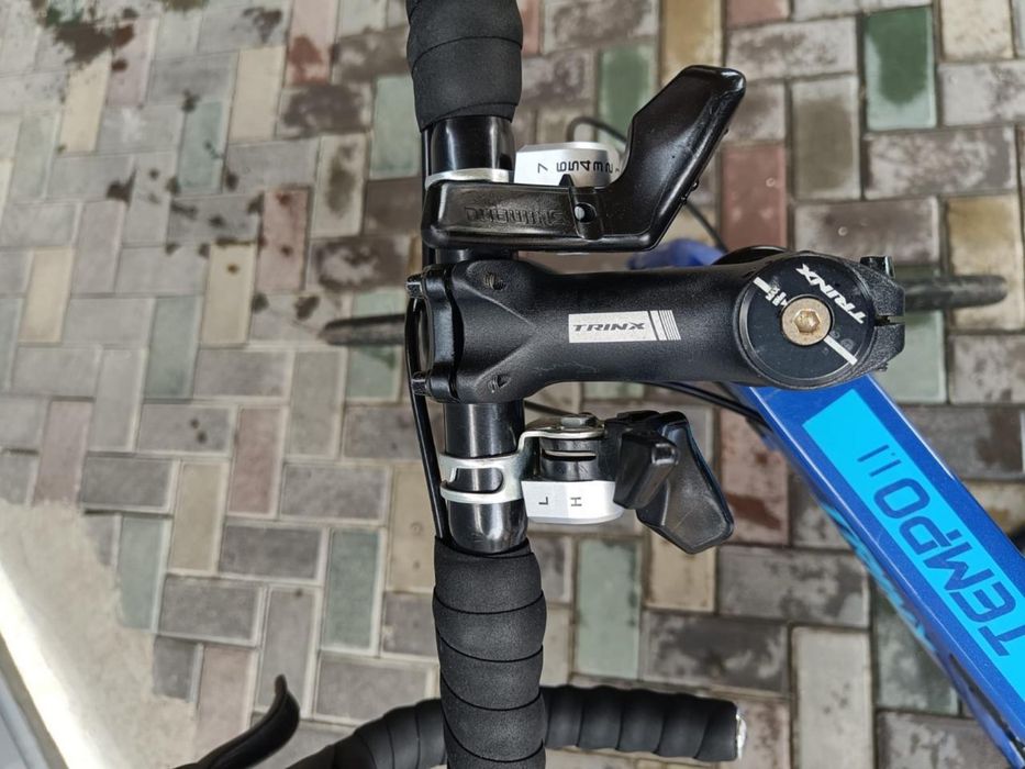 Trinx  tempo 1.1