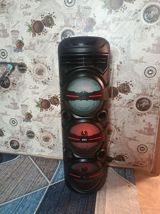 Музыкалный калонка