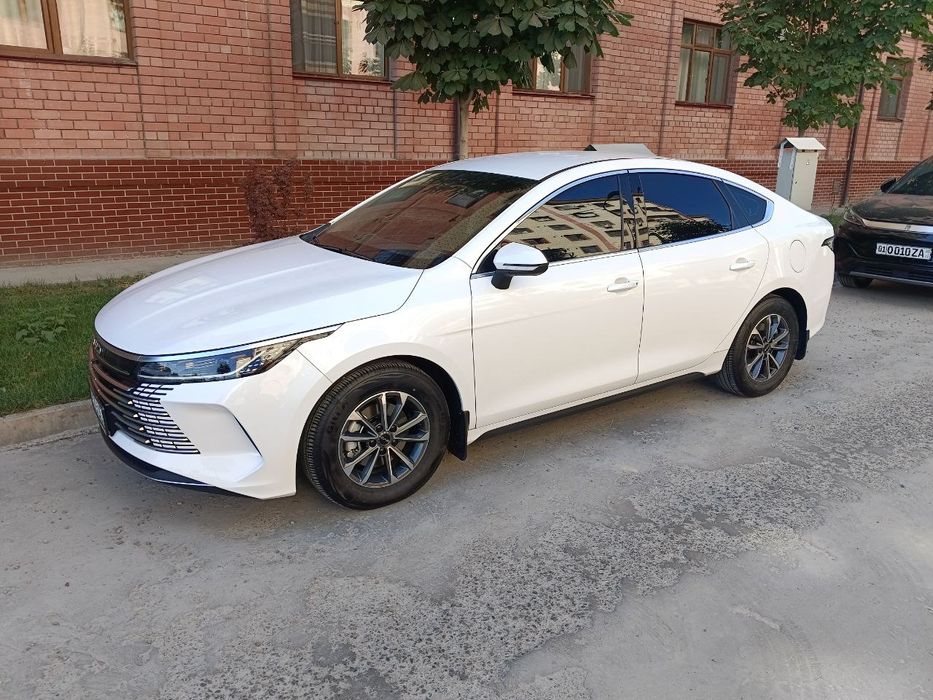 Bud chazor 1 pozitsiya sotiladi 38 ming yurgan