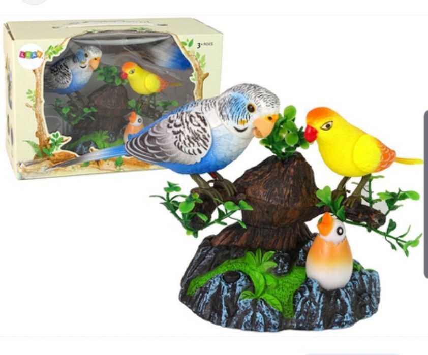 Sayroqi qush / К,уш Сайрок,и