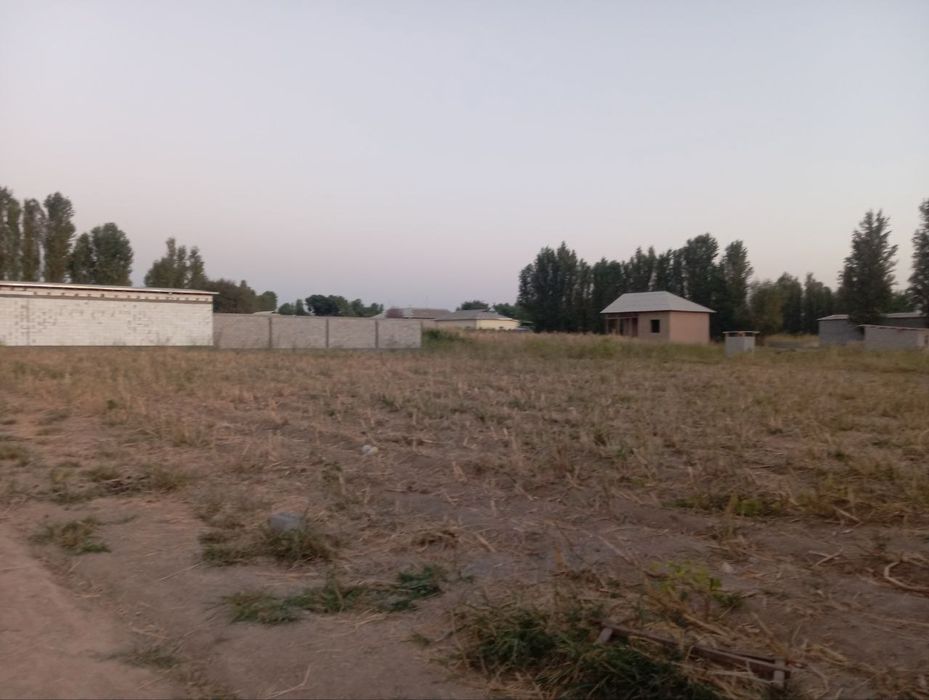 20 сотих йер участка сотуга чикти