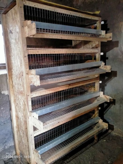 Клетка для перепелов