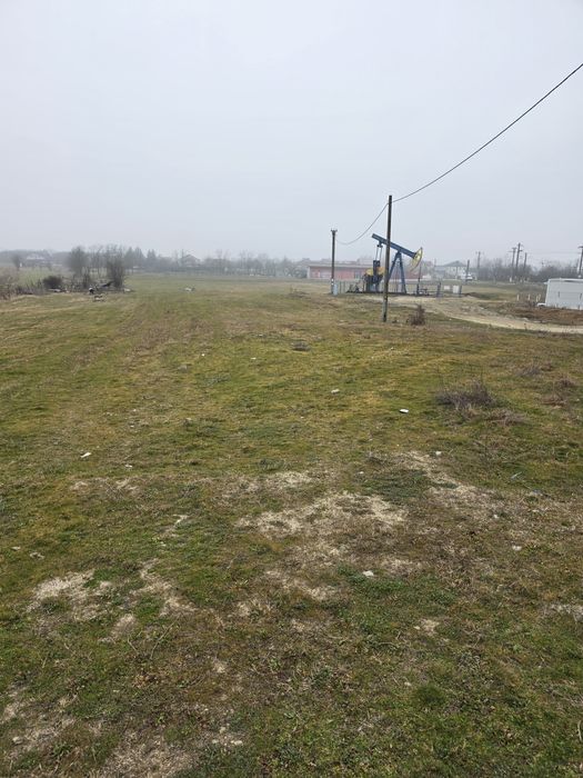 Teren Priseaca/Dragomirești