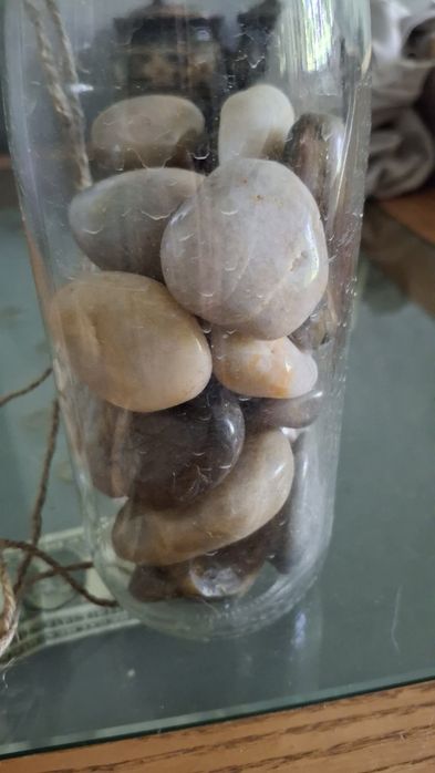 Продам ракушки и камешки