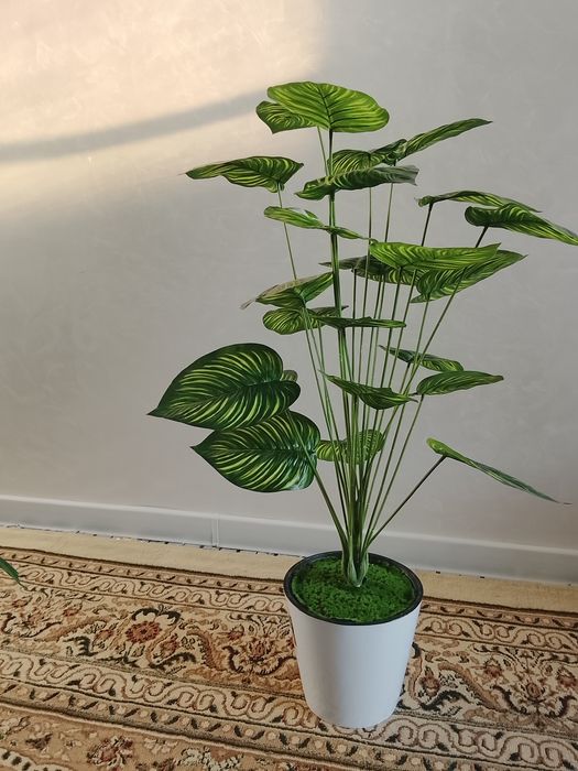 Suniy gullar dekorativniy