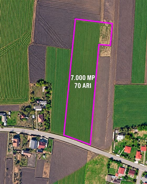 Teren intravilan 7.000 m² – utilități și acces asfaltat – Zvoriștea