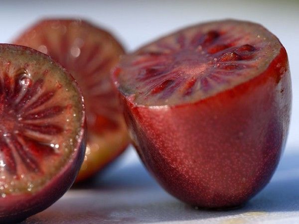 Киви 'Ken's Red' (Червено киви)