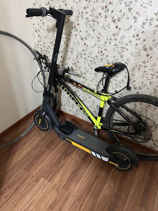 Ninebot g30 max.