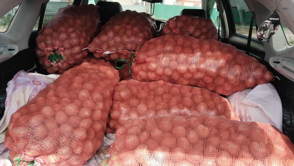 Продам картошку.