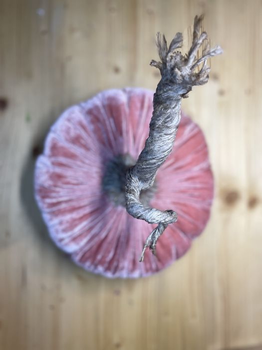 Dovleci decorativi handmade