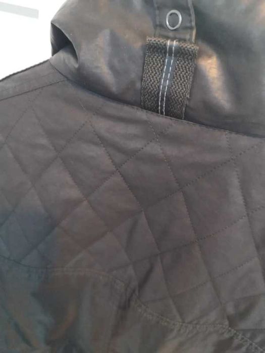 Jacheta barbateasca primavara , toamna