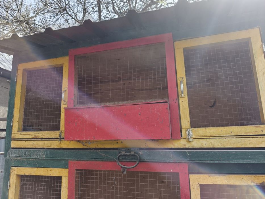 Пклеткм для курей