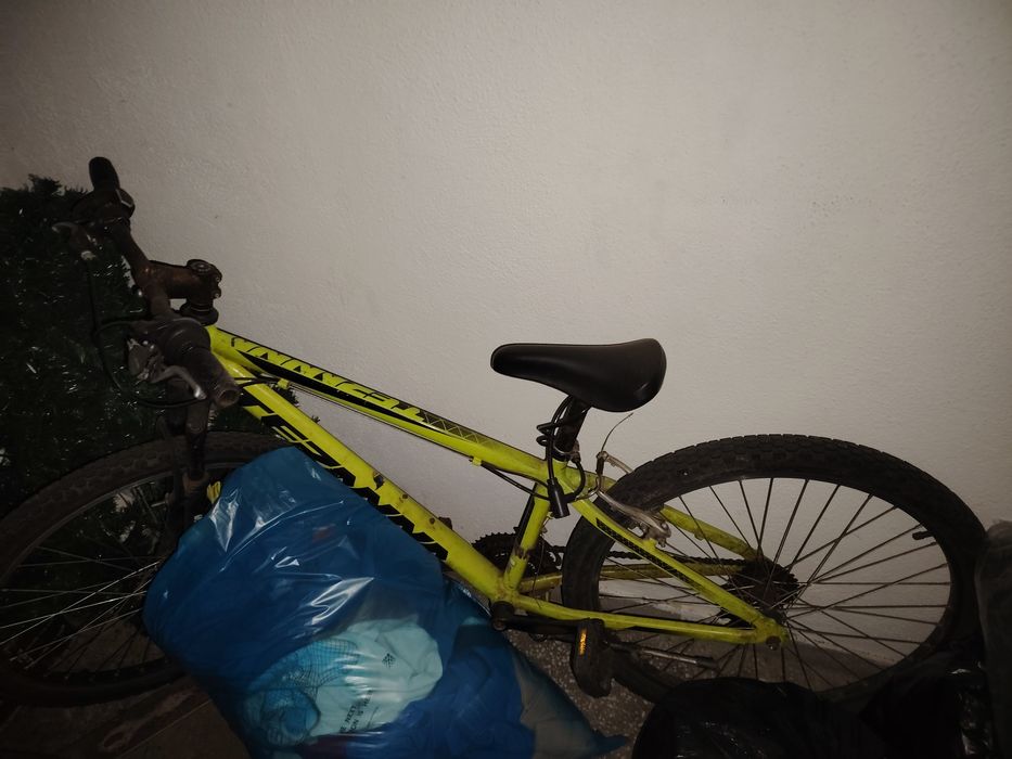 Bicicleta de băieți