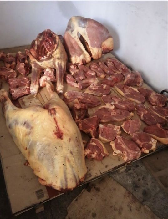 Мал соям касапшы