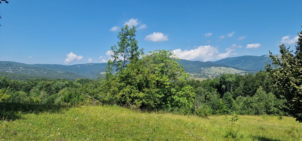 Teren Loturi Talea-Breaza lângă pădure