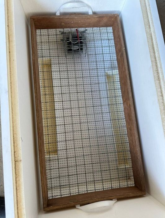 Инкубатор норма луппер с10