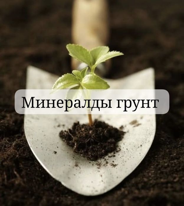 Минералды грунт бар