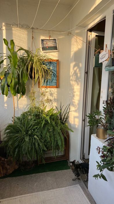 Дава се под наем Двустаен апартамент в София, Младост 4 - 50 кв.м за 561 € - Снимка #9