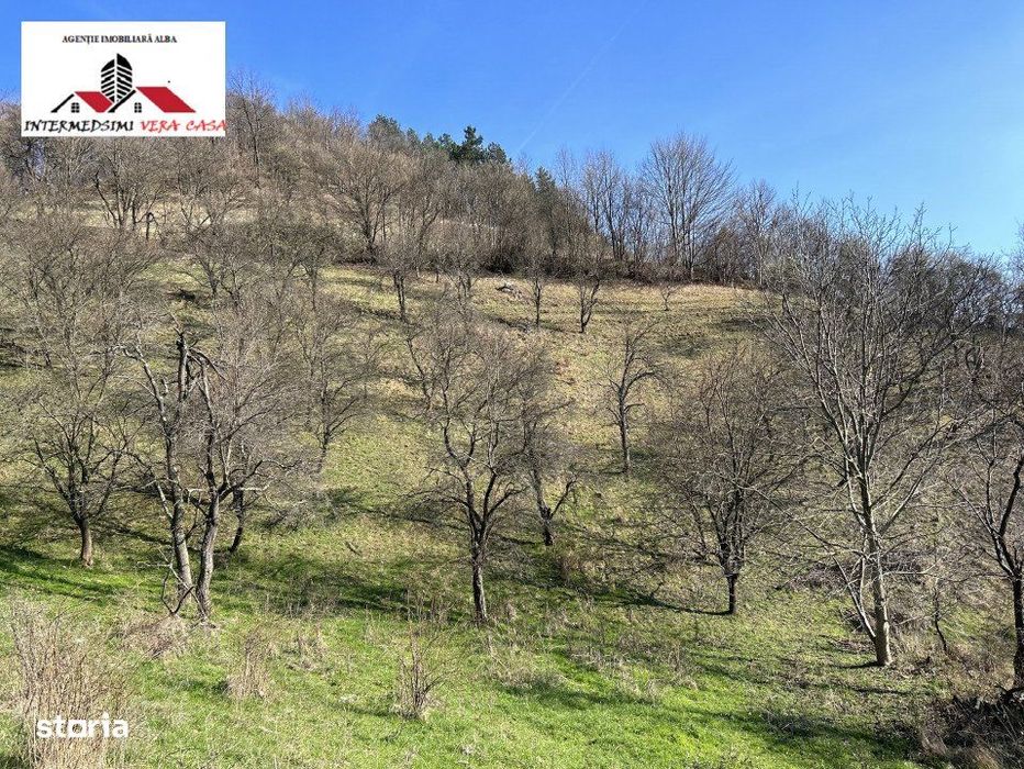 Teren intravilan - extravilan 9,3 Ha de vanzare Matacina Jud Alba