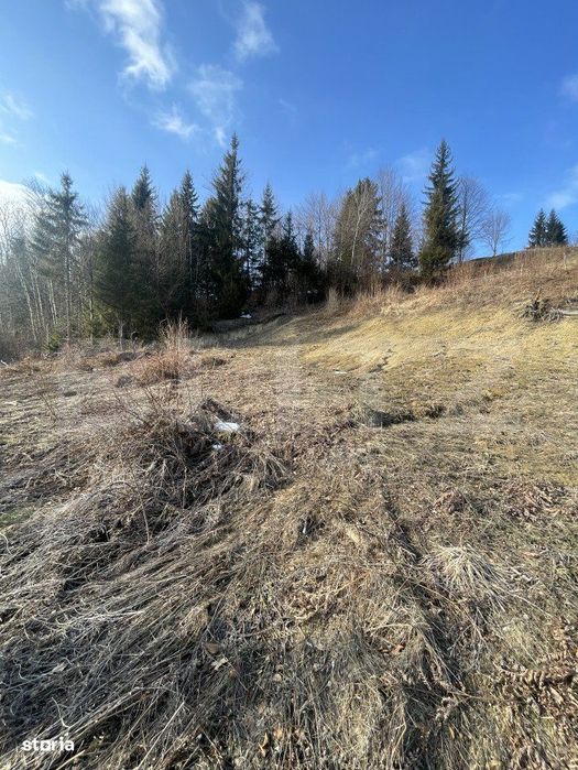 Teren intravilan de vanzare, 15 ari, zona COLIBITA