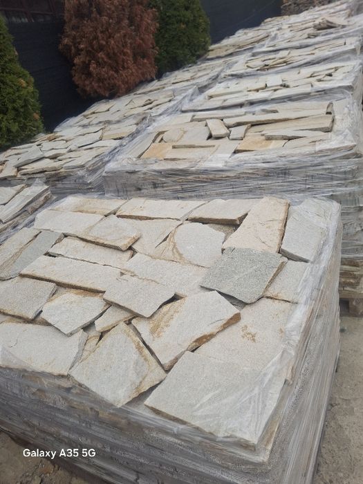 Vând plante ornamentale la preț mic