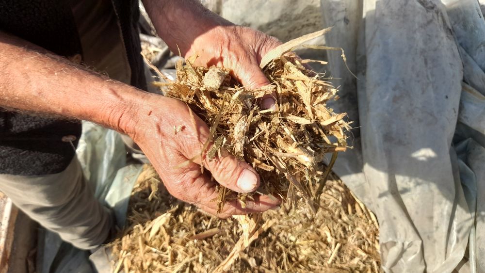 Silyos bor 750 so'm 50 tonacha