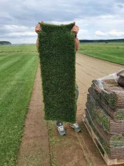 Gazon Natural Dens – Verificare Video și Montaj la Adresă