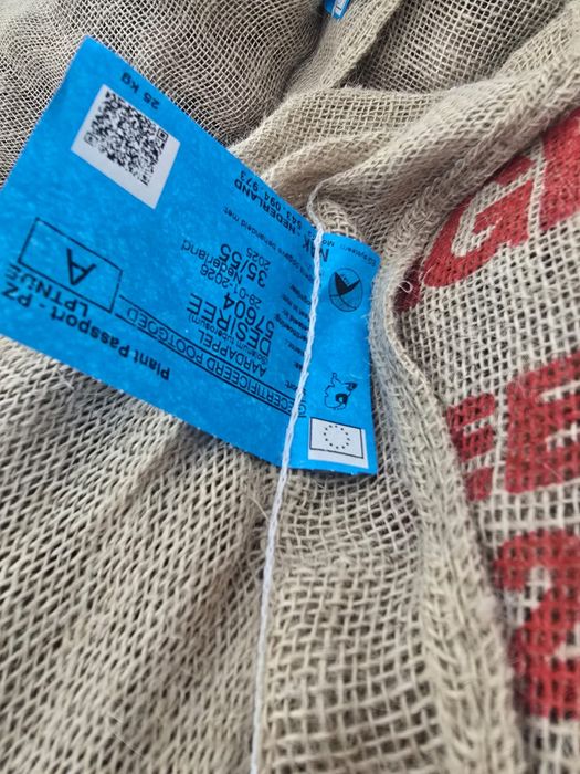 Cartofi de sămânță si arpagic stuttgarter origine olanda