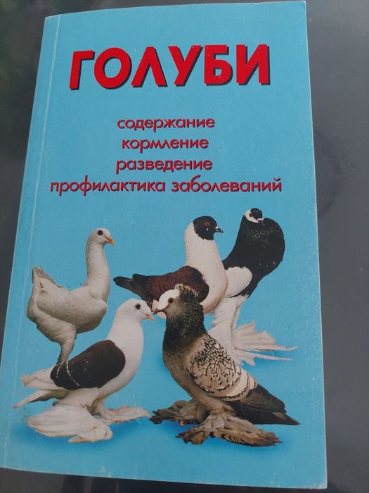 Голуби содержание, кормление, разведение