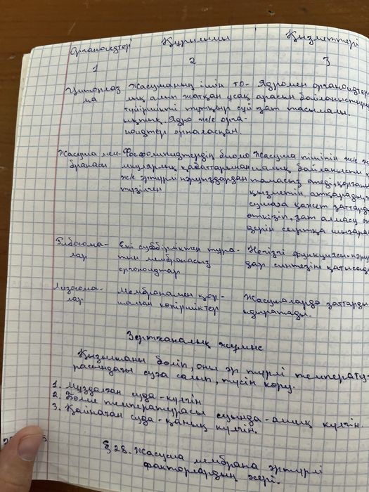 лекция жазам арзанга