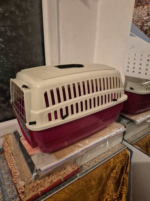 Cusca animale plastic