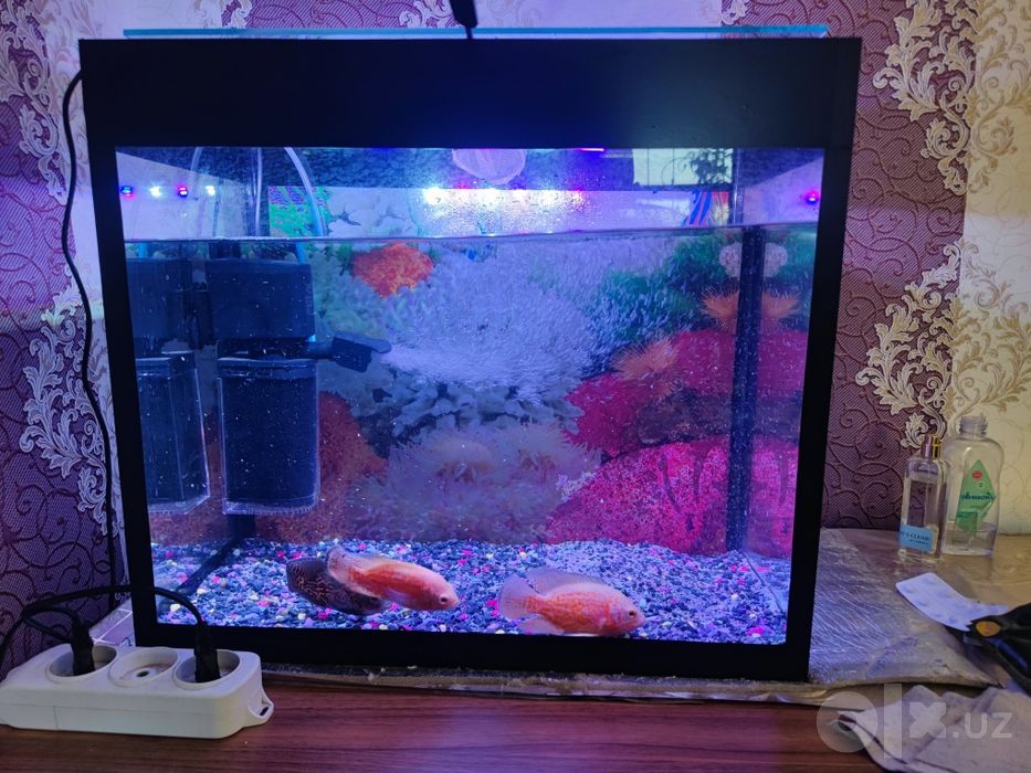Akvarium 50Litr komplekt