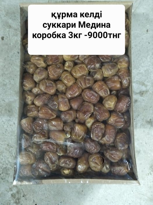 Финики суккари Медина