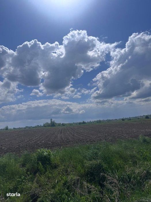 Teren extravilan, 7800mp, Burla