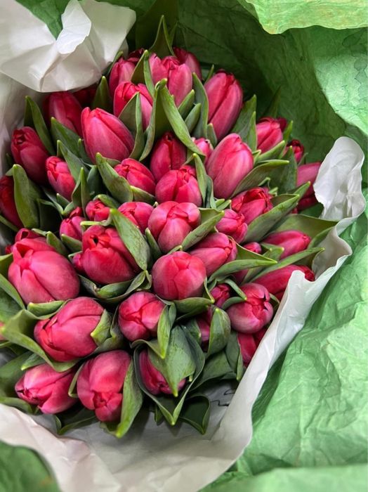 Тюльпаны от ип корпаративные