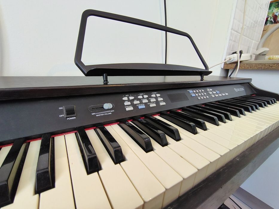 Orga Pianina DELSON NP10